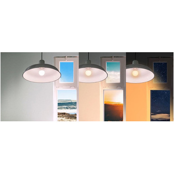 BioLight Light Bulbs