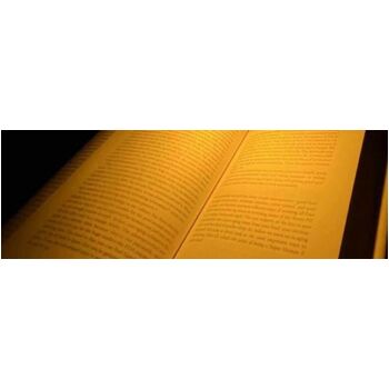 No Blue Amber Book Light