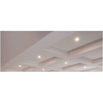 BioLight Downlight