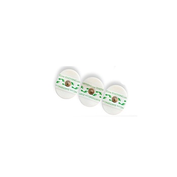 Earthing Patches - 30